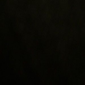 Meet your Posher, Paden